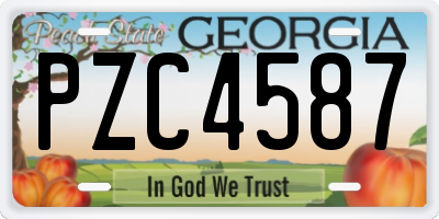 GA license plate PZC4587
