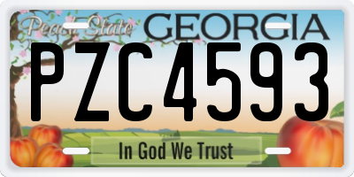 GA license plate PZC4593