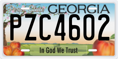 GA license plate PZC4602