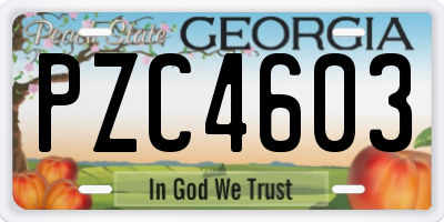 GA license plate PZC4603