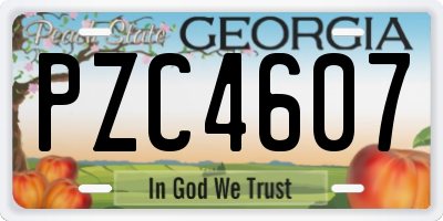 GA license plate PZC4607