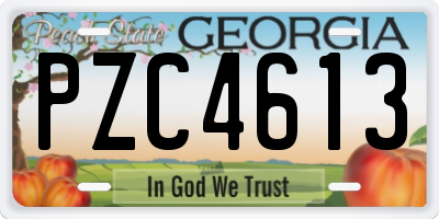 GA license plate PZC4613