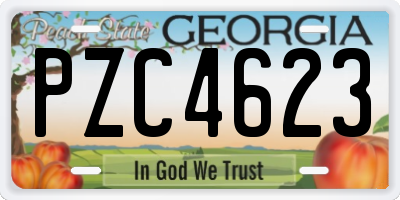 GA license plate PZC4623