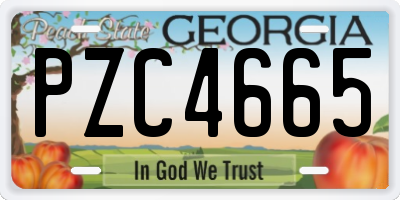 GA license plate PZC4665