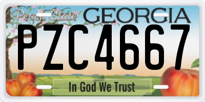 GA license plate PZC4667