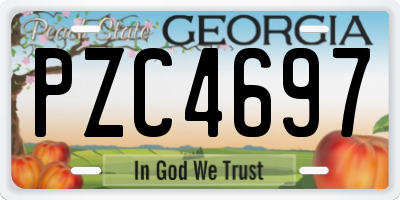 GA license plate PZC4697