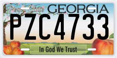 GA license plate PZC4733