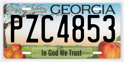 GA license plate PZC4853