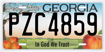 GA license plate PZC4859