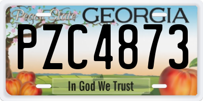 GA license plate PZC4873