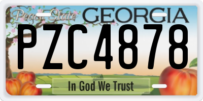GA license plate PZC4878