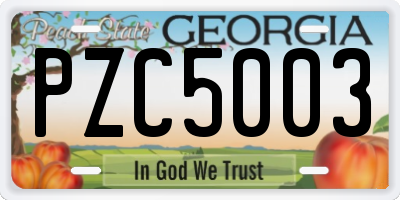 GA license plate PZC5003