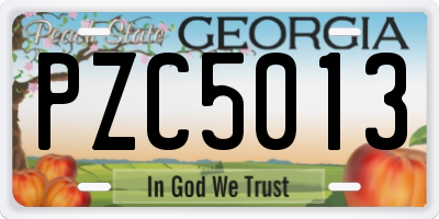 GA license plate PZC5013