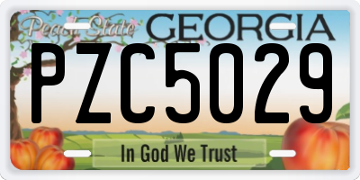 GA license plate PZC5029