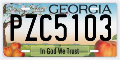 GA license plate PZC5103