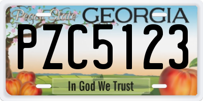 GA license plate PZC5123