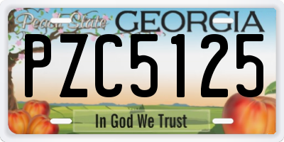 GA license plate PZC5125
