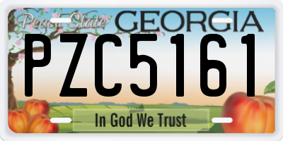 GA license plate PZC5161