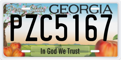 GA license plate PZC5167