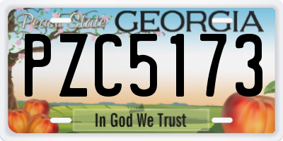 GA license plate PZC5173