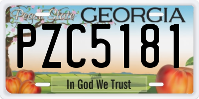 GA license plate PZC5181