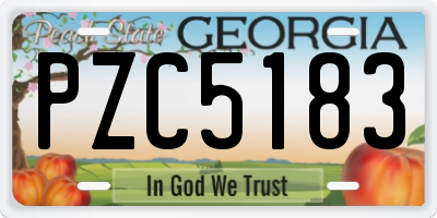 GA license plate PZC5183