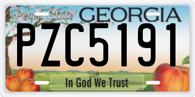 GA license plate PZC5191
