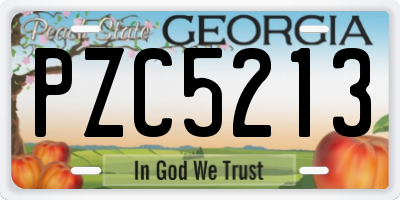 GA license plate PZC5213