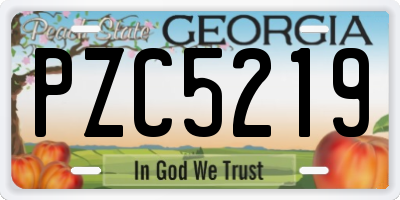 GA license plate PZC5219