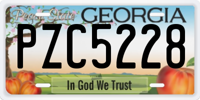 GA license plate PZC5228