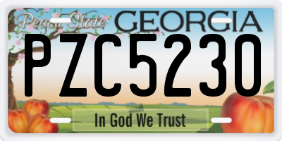 GA license plate PZC5230
