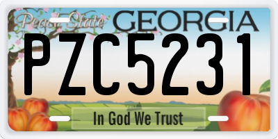 GA license plate PZC5231