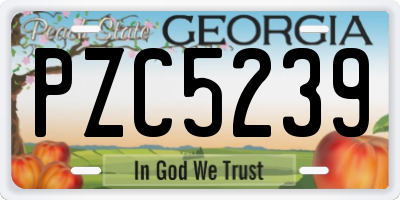 GA license plate PZC5239