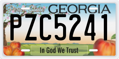 GA license plate PZC5241