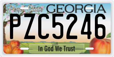 GA license plate PZC5246