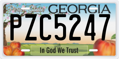 GA license plate PZC5247
