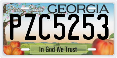 GA license plate PZC5253