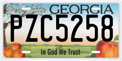 GA license plate PZC5258