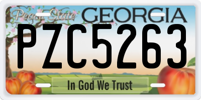 GA license plate PZC5263