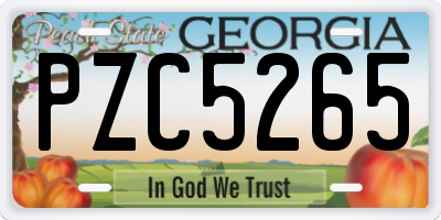 GA license plate PZC5265