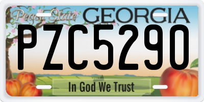 GA license plate PZC5290