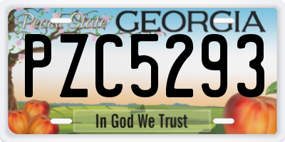 GA license plate PZC5293