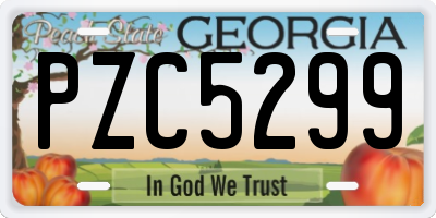 GA license plate PZC5299