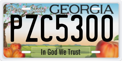 GA license plate PZC5300