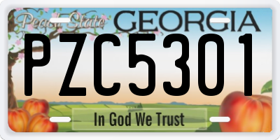 GA license plate PZC5301