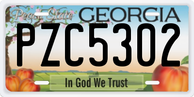 GA license plate PZC5302
