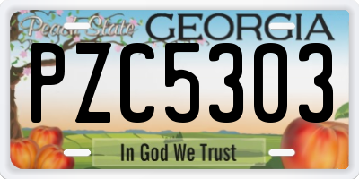 GA license plate PZC5303