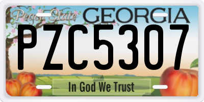 GA license plate PZC5307