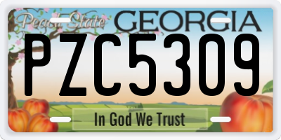 GA license plate PZC5309