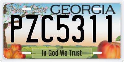 GA license plate PZC5311